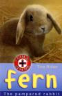 Fern : The Pampered Rabbit - Book