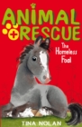 The Homeless Foal - Book