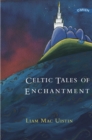 Celtic Tales of Enchantment - eBook