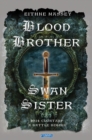 Blood Brother, Swan Sister : 1014 Clontarf; A Battle Begins - eBook