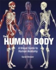 The Human Body : A Visual Guide to Human Anatomy - Book