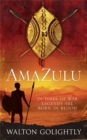 Amazulu - Book