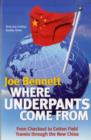 Where Underpants Come From : From Checkout to Cotton Field - Travels Through the New China - Book
