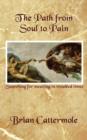 The Path from Soul to Pain : Searching for Meaning in Troubled Times - Book