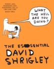 What The Hell Are You Doing?: The Essential David Shrigley : The Essential David Shrigley - eBook