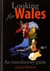 Looking for Wales - Book