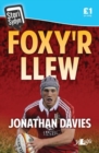 Stori Sydyn: Foxy'r Llew - Book