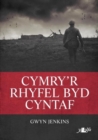 Cymry'r Rhyfel Byd Cyntaf - Book