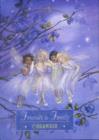 FOREST FAIRIES FRIENDS & FAMILY ORGANISE - Book