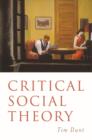 Critical Social Theory : Culture, Society and Critique - eBook