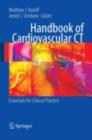 Handbook of Cardiovascular CT : Essentials for Clinical Practice - eBook