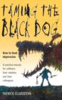 Taming The Black Dog : How to Beat Depression - A Practical Manual for Sufferers, Their Relatives and Colleagues - eBook