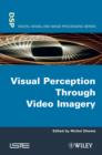Visual Perception Through Video Imagery - Book