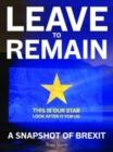 Leave to Remain : A Snapshot of Brexit - Book