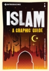 Introducing Islam : A Graphic Guide - Book