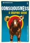 Introducing Consciousness : A Graphic Guide - Book