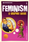 Introducing Feminism : A Graphic Guide - eBook