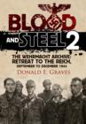 Blood and Steel 2 - Book