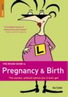 The Rough Guide to Pregnancy and Birth - eBook
