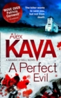 A Perfect Evil - eBook