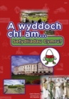 Cyfres a Wyddoch Chi: A Wyddoch Chi am Sefydliadau Cymru? - Book