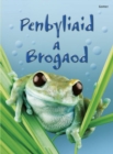 Cyfres Dechrau Da: Penbyliaid a Brogaod - Book