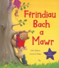 Ffrindiau Bach a Mawr - Book