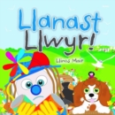 Cyfres Wenfro: Llanast Llwyr - Book