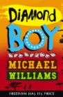 Diamond Boy - Book