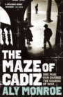 The Maze of Cadiz : Peter Cotton Thriller 1: The first thriller in this gripping espionage series - Book