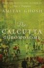 The Calcutta Chromosome - eBook
