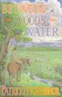 Between the Woods and the Water : On Foot to Constantinople from the Hook of Holland: The Middle Danube to the Iron Gates - eBook