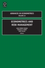Econometrics and Risk Management - eBook