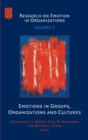 Emotions in Groups, Organizations and Cultures - Book