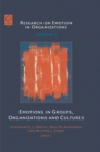 Emotions in Groups, Organizations and Cultures - eBook