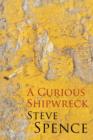A Curious Shipwreck - Book