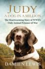 Judy: A Dog in a Million : From Runaway Puppy to the World's Most Heroic Dog - eBook