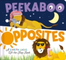 Peekaboo Opposites - Book