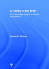 A History of the Brain : From Stone Age surgery to modern neuroscience - Book
