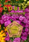 Beginner's COBIT Companion - Book