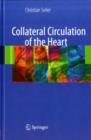 Collateral Circulation of the Heart - eBook