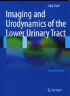 Imaging and Urodynamics of the Lower Urinary Tract - Book