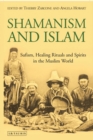Shamanism and Islam : Sufism, Healing Rituals and Spirits in the Muslim World - Book