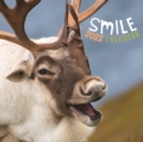 Smile 2022 Calendar - Book