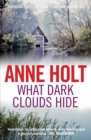 What Dark Clouds Hide - Book