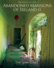 Abandoned Mansions of Ireland : No. II - Book
