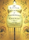 The Little Giant of Aberdeen County - eBook