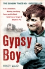 Gypsy Boy : The bestselling memoir of a Romany childhood - eBook