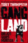 Gang Land : From footsoldiers to kingpins, the search for Mr Big - eBook