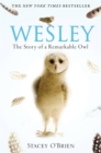 Wesley : The Story of a Remarkable Owl - Book